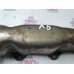 б/у Коллектор выпускной Volkswagen Passat B5 2000-2005 2.5 TDI AKN 059253033C