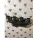 б/у Коллектор выпускной Nissan Interstar 1998-2003 2.5 D S8U770 7701047903
