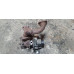 б/у Турбина Renault Master II 2003-2010 3.0 DCI ZD3A202 7701479012