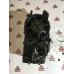 б/у Масляный насос Nissan Interstar 1998-2003 2.8 DTI S9W702 5001846808