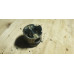б/у Поршень Nissan Interstar 1998-2003 1.9 DTI F8T 7701476520