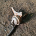 б/у Актуатор / клапан турбины Nissan Interstar 1998-2003 2.2 DCI G9T720 / G9T722 б/у Актуатор / клапан турбины Nissan Interstar 1998-2003 2.2 DCI G9T720 / G9T722