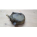 б/у Бачок расширительный Opel Movano 1998-2003 7700838740