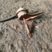 б/у Актуатор / клапан турбины Nissan Interstar 1998-2003 2.2 DCI G9T720 / G9T722