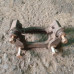б/у Скоба суппорта заднего правая Nissan Interstar 2003-2010 7701049981